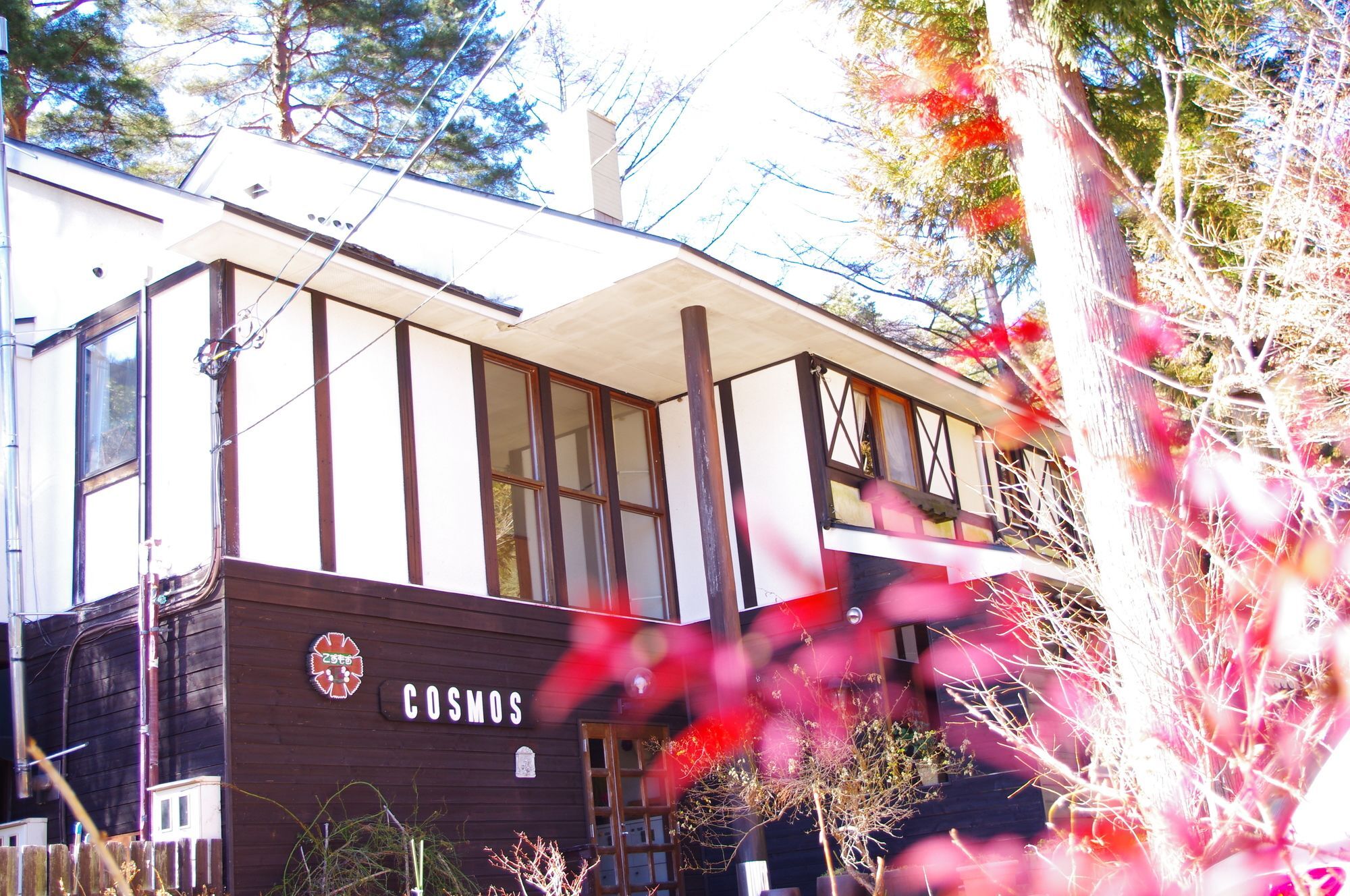Forest Resort Cosmos Fujikawaguchiko Exterior foto